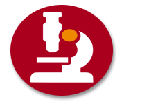 SEO Website Analysis
